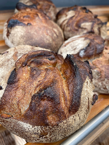 Comentarii opinii despre BROTPROFI