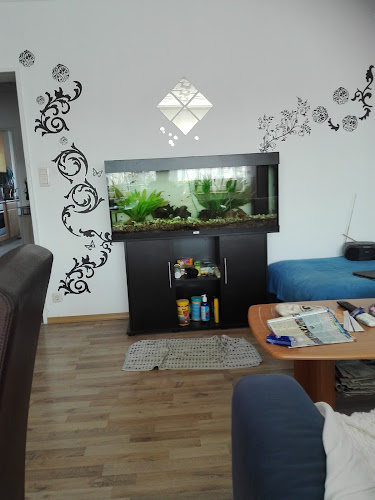 Mesumer Str. 6, 48432 Rheine