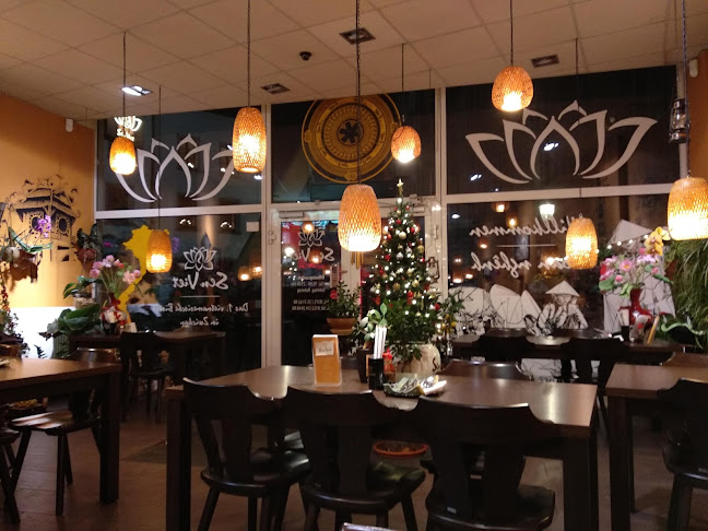 Comentarii opinii despre Sen Viet