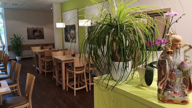 Comentarii opinii despre Asia Fu Dong