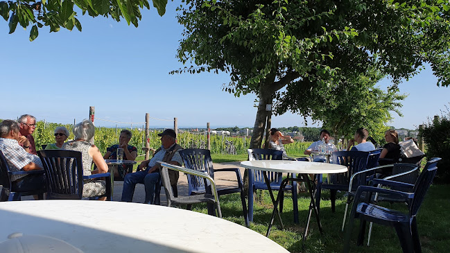 Pergola am Nußdorfer Weinerlebnispfad - Landau in der Pfalz