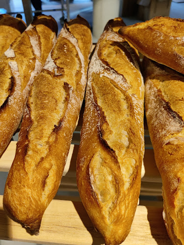 Comentarii opinii despre Till und Brot