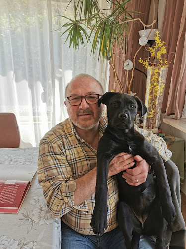 Opinii despre Sportheim SV Furpach în Neunkirchen - Gastronomie und Hotellerie