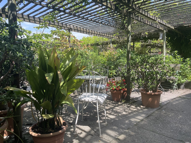 Westerbachstraße 247, 65936 Frankfurt am Main