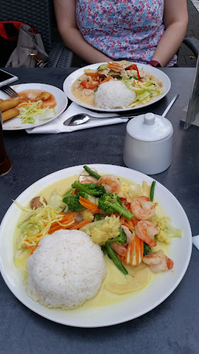 Comentarii opinii despre Asia Nr1