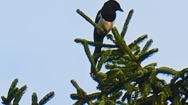 Gastronomie Mietservicekräfte Bremen - Gastronomie und Hotellerie