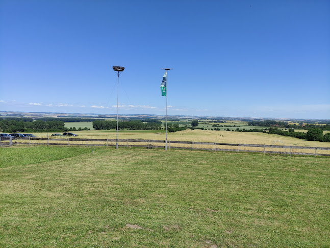 Waldgasthof und Hotel Hainich Haus - Kammerforst