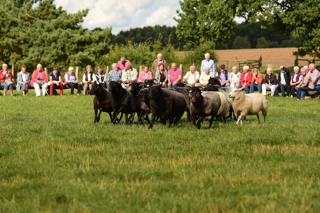 Restaurant Utspann - Bad Fallingbostel