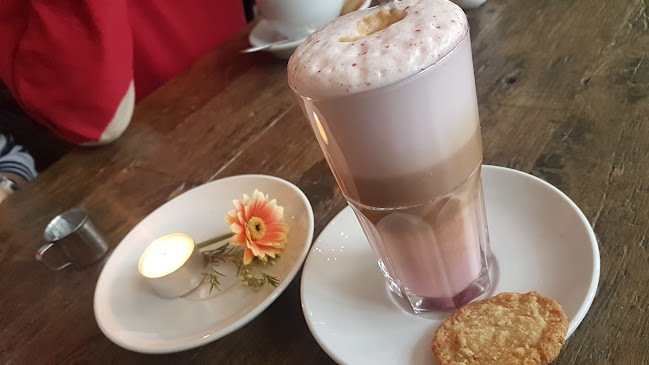 Moltkestraße 2A, 45128 Essen