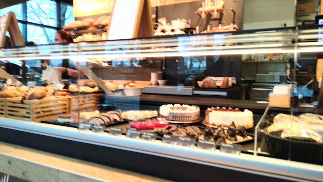 Bremer Str. 67, 01067 Dresden