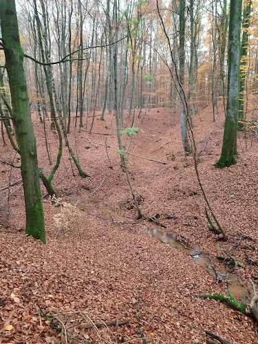 Waldgaststätte Oyler Berg - Gastronomie und Hotellerie