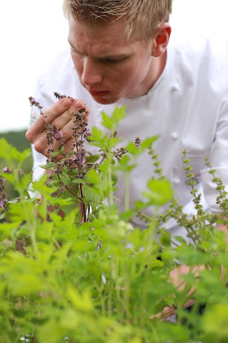 Maltesergasse 15, 97762 Hammelburg