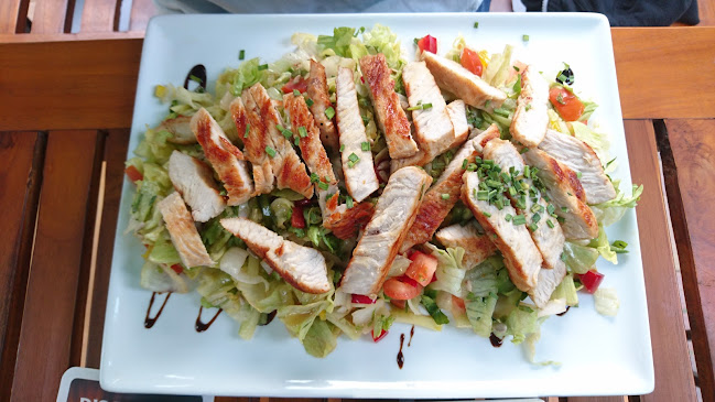 Irish Pub & Grill im Waldschloss - Gastronomie und Hotellerie