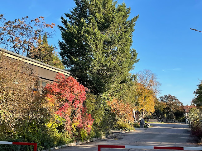 Comentarii opinii despre KEIN Schlittschuhlaufen Späth'schen Baumschulen Winter 2020/21