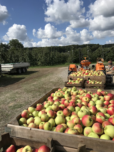 Opinii despre Edelobstplantage Hillemacher + SB Lebensmittel-Automat în Eschweiler - Gastronomie und Hotellerie