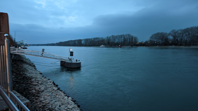 Am Rhein 5, 67547 Worms