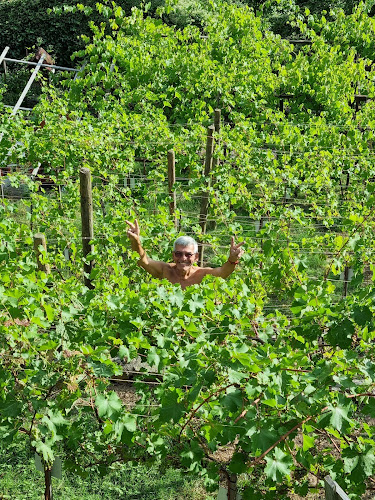 Adenauerstraße 85, 76275 Ettlingen