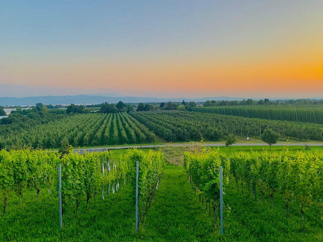 Weinbau-Brennerei-Rädlewirtschaft Rottmar - Kressbronn am Bodensee