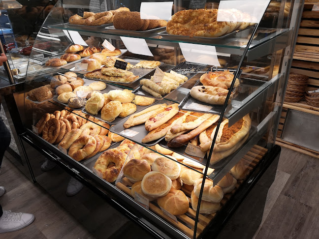 Marienstraße 14, 45894 Gelsenkirchen