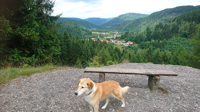 Pizzeria Maaßener Gaipel Bergstadt Lautenthal - Langelsheim