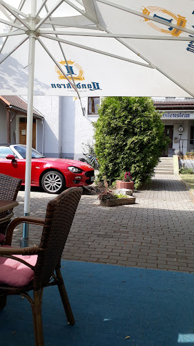 Comentarii opinii despre Hotel & Restaurant "Zum Firstenstein"