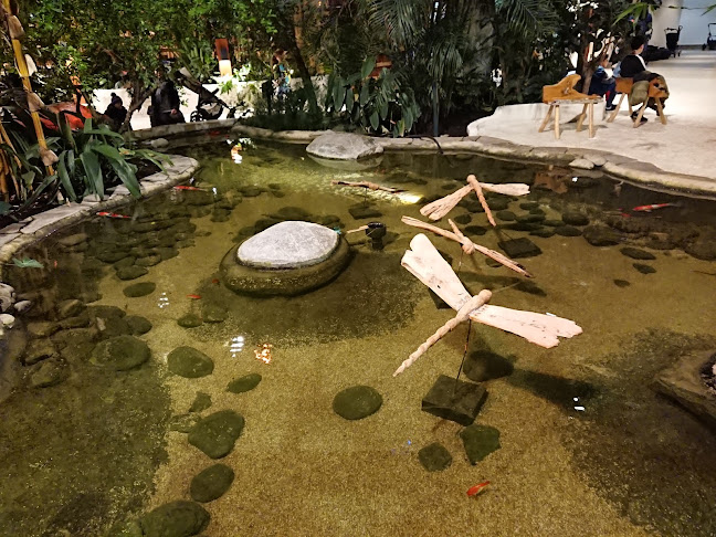 88299 Leutkirch im Allgäu