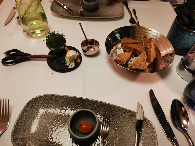 Comentarii opinii despre VEN