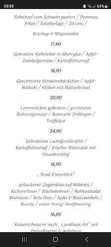 Hotel & Restaurant Elsterblick