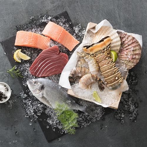 NORDSEE Hameln Stadt-Galerie - Hameln