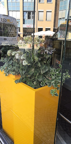 Cafe Engelke - Hildesheim