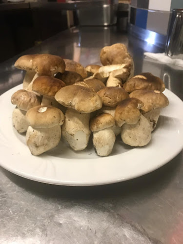 Café Milano | Ristorante & Pizzeria - Gastronomie und Hotellerie