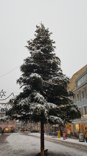 Comentarii opinii despre M13