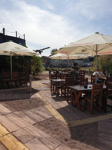 Roter Milan - Halle (Saale)