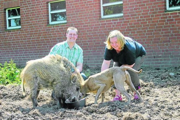 Bundesstraße 74, 21502 Geesthacht