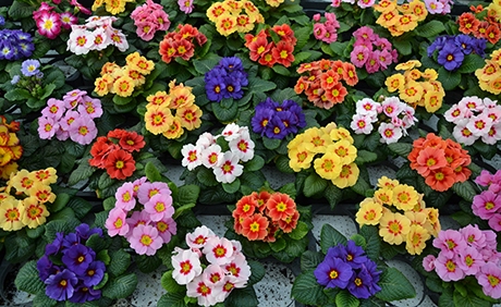 Comentarii opinii despre Munkers Brot