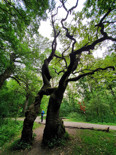 Waldgasthof und Hotel Hainich Haus