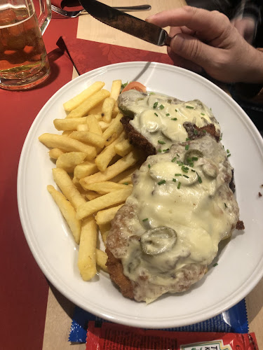 Zum goldenen Schwan Hr. Schnabel - Roth