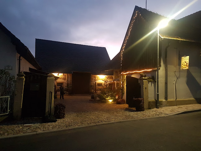 Opinii despre Weinscheune Biengen în Bad Krozingen - Gastronomie und Hotellerie