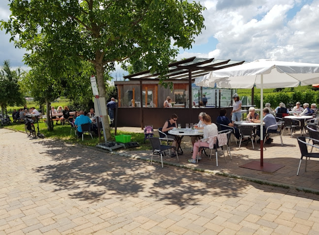 Pergola am Nußdorfer Weinerlebnispfad