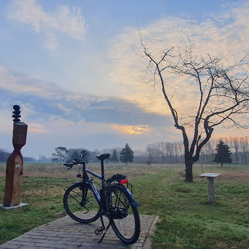 Grenzstraße 18, 06729 Elsteraue