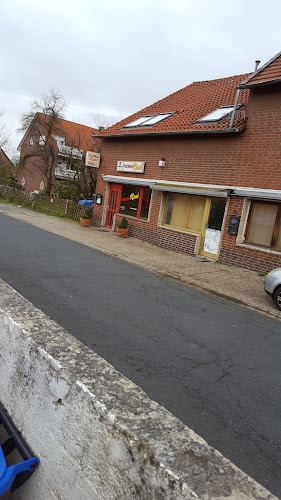 Opinii despre Pizzeria Roni în Peine - Gastronomie und Hotellerie