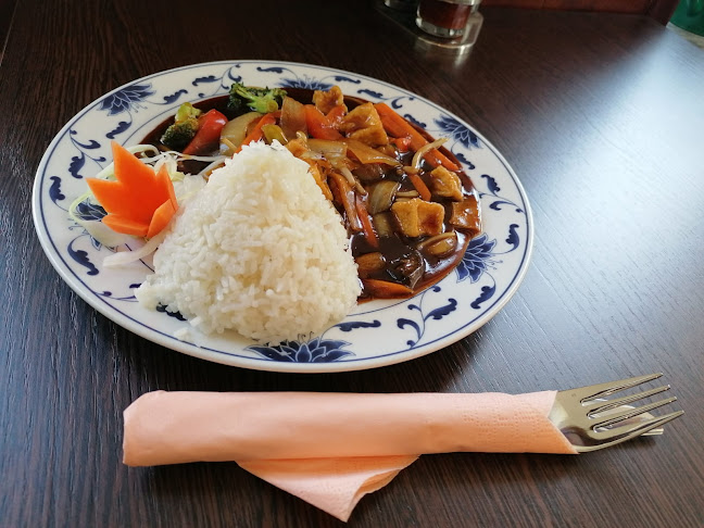 Opinii despre Hoa Sen - Asiatische Küche în Albstadt - Gastronomie und Hotellerie