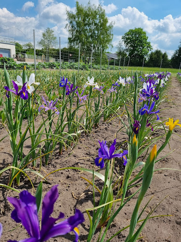 Opinii despre Blumenfeld - Blumen selbst schneiden în Paderborn - Gastronomie und Hotellerie