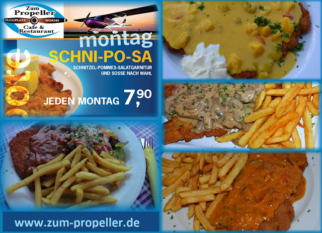 Comentarii opinii despre Zum Propeller