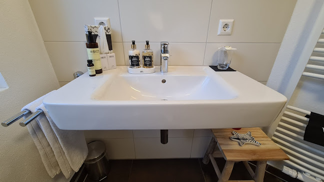 Adler Schiltach Boutique Hotel und Restaurant - Schiltach