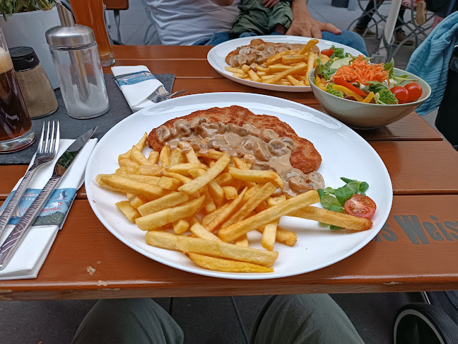 Lisas Palmengarten - Bochum