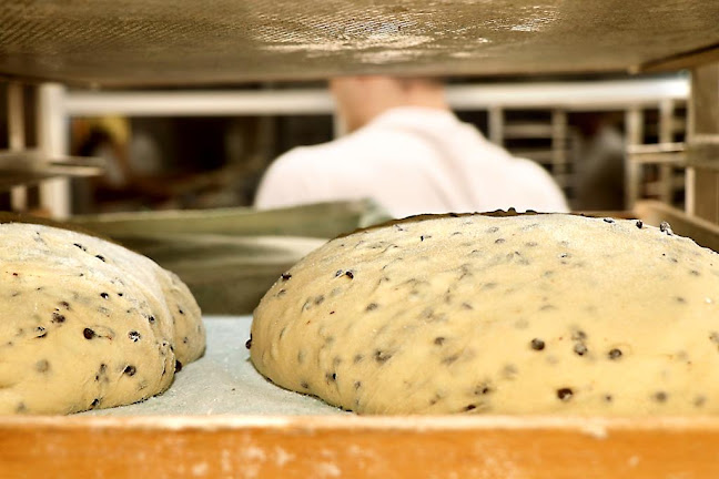 Münsterstraße 2, 48341 Altenberge