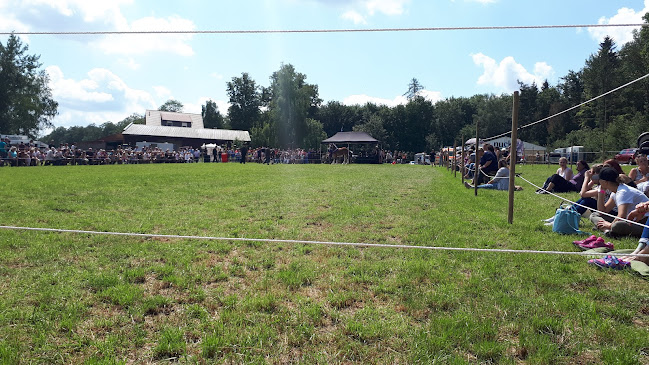 Comentarii opinii despre Zur Seulinger Warte