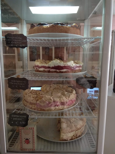 Comentarii opinii despre Mavandus