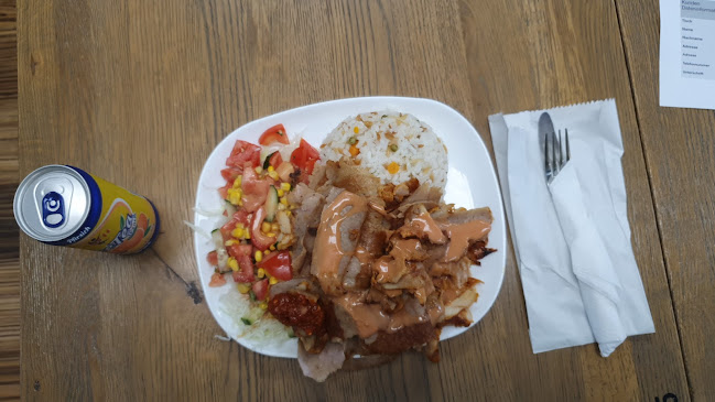 Comentarii opinii despre Pamukkale Grill